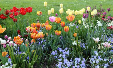 Bahar çiçekleri.