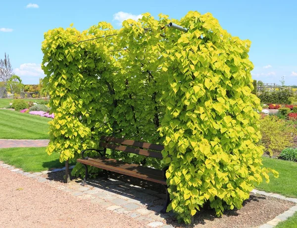 Banc Dans Jardin Décoratif Printemps — Photo