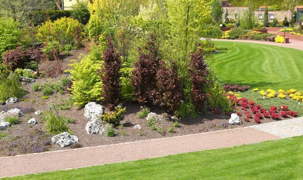 Des Buissons Des Arbres Colorés Dans Jardin Printemps — Photo