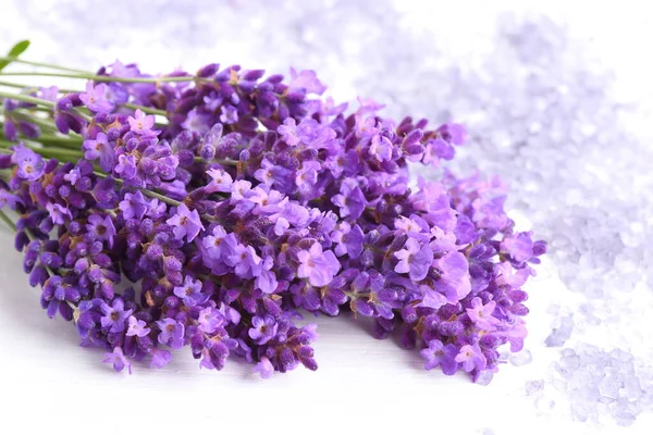 Buquê Lavanda Sal Sobre Fundo Branco — Fotografia de Stock