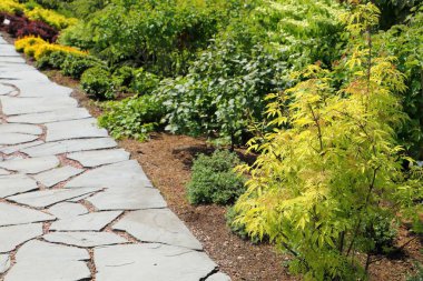 Bahçedeki taş levhalardan yapılmış patika güzel çalıların arasında..