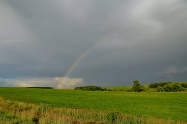 Gökkuşağının üstünde çayır
