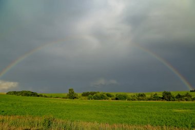 Gökkuşağının üstünde çayır