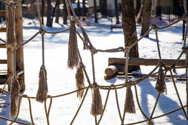 Labirynt lin w parku w zimie — Zdjęcie stockowe