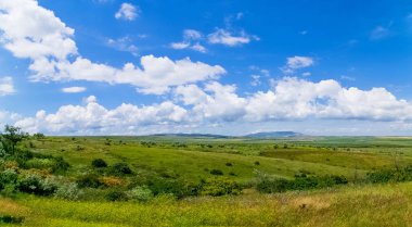 Yaz manzara - çiçekli çayır ve alanları bir arka plan bulutlar