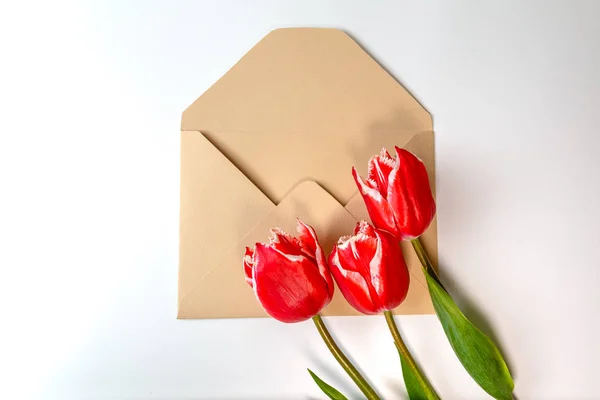 A bouquet of three red tulips lies in an envelope — Stock Photo, Image