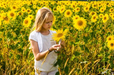 Kız tarlada ayçiçeği çiziyor.