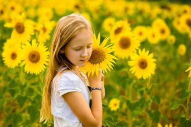 Kız yürüyor ve tarlada ayçiçekleriyle poz veriyor.