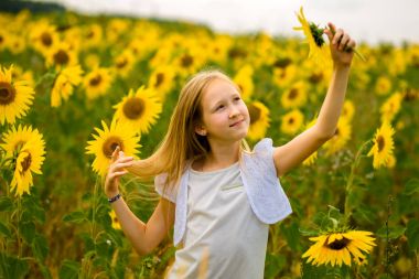 Kız yürüyor ve tarlada ayçiçekleriyle poz veriyor.
