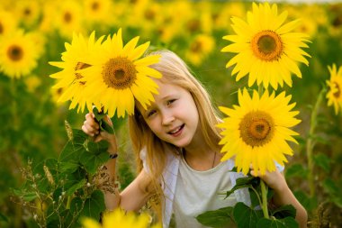 Kız yürüyor ve tarlada ayçiçekleriyle poz veriyor.