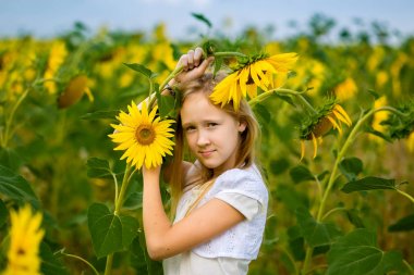 Kız yürüyor ve tarlada ayçiçekleriyle poz veriyor.