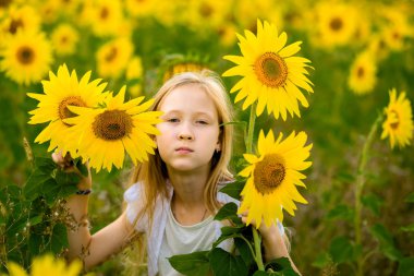 Kız yürüyor ve tarlada ayçiçekleriyle poz veriyor.