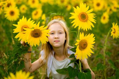 Kız yürüyor ve tarlada ayçiçekleriyle poz veriyor.