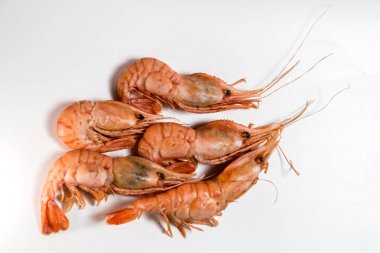 karides bilinenlerin yalan beyaz bir arka plan üzerine