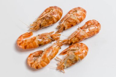 karides bilinenlerin yalan beyaz bir arka plan üzerine