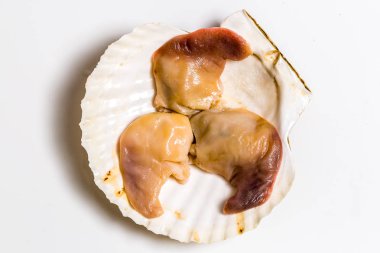 Spisula sachalinensis beyaz bir arka plan üzerinde yalan