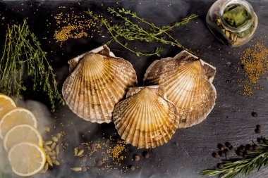 Kabuk yalanlar üzerine siyah çanak tarak