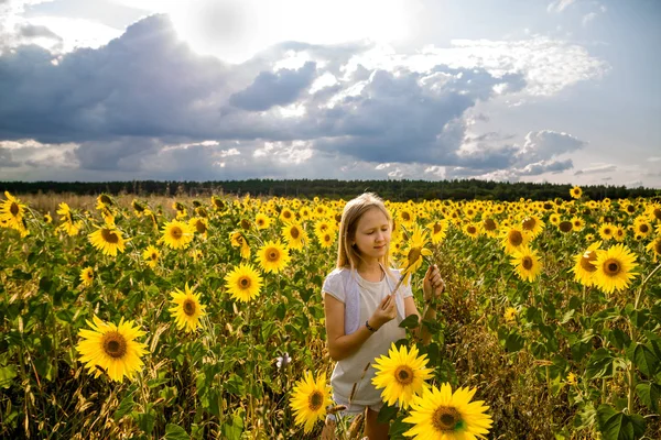 Menina pinta girassóis em um campo — Fotografia de Stock