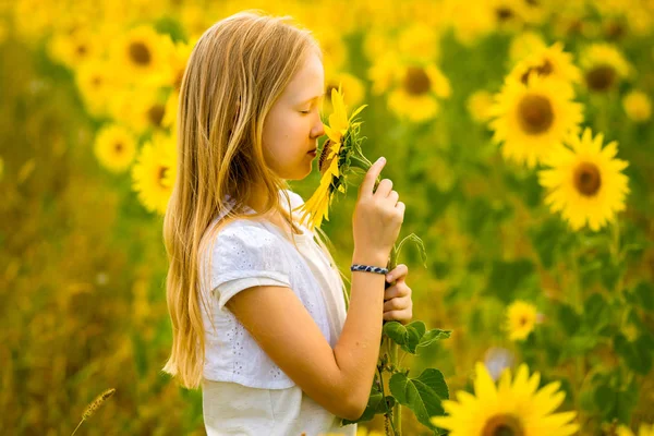 Menina andando e posando no campo com girassóis — Fotografia de Stock