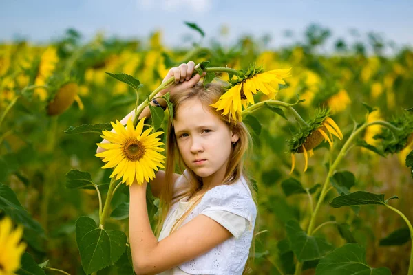 Chica caminando y posando en el campo con girasoles —  Fotos de Stock