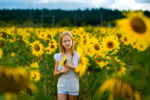 Menina andando e posando no campo com girassóis — Fotografia de Stock