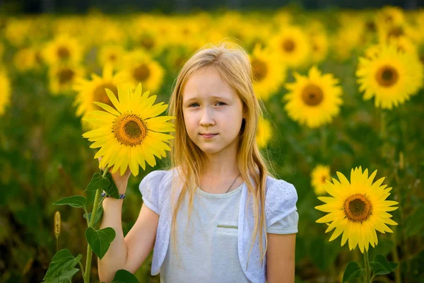 Menina andando e posando no campo com girassóis — Fotografia de Stock