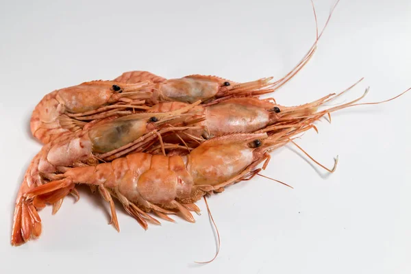 Camarones langoustine mentira sobre un fondo blanco —  Fotos de Stock