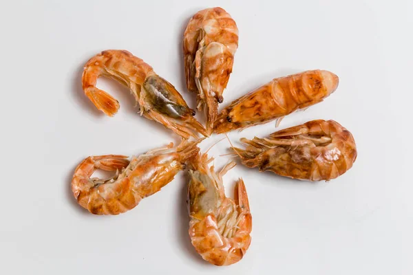 Camarones langoustine mentira sobre un fondo blanco —  Fotos de Stock