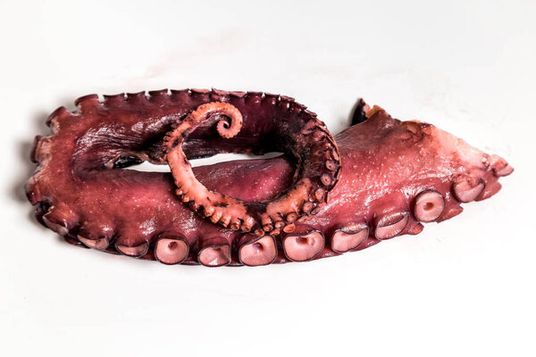 копченые щупальца осьминога на белом фоне

