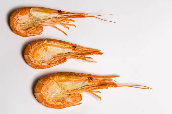 Camarones langoustine mentira sobre un fondo blanco —  Fotos de Stock