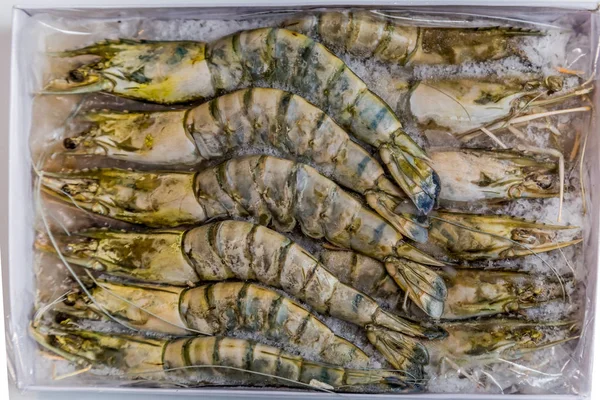 Camarones tigre se encuentran sobre un fondo blanco —  Fotos de Stock