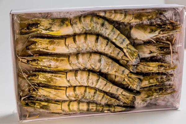 Camarones tigre se encuentran sobre un fondo blanco —  Fotos de Stock