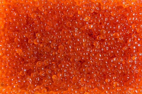 Salmón de caviar rojo en un frasco sobre un fondo blanco —  Fotos de Stock
