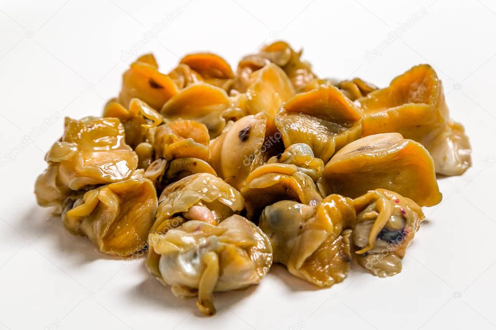 common whelk meat lies on a white background