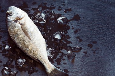 Buz ile Dorada balık
