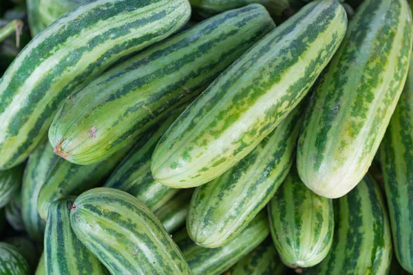 Huge raw green cucumber vegetable in market — Stock Photo, Image