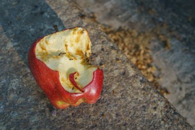 Karıncalar ile yol kenarında kalan atık dolu Kırmızı elma.