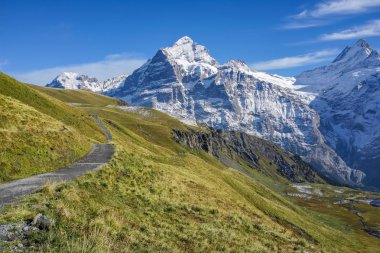 Yeşil otlar çayırlar yüksek kar Dağları ile güzel manzaralarına ben
