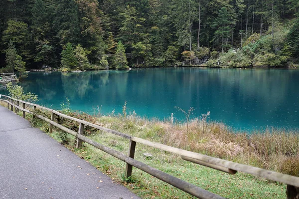 아름 다운 녹색 호수와 소나무 숲의가, Switzer의 보기 — 스톡 사진