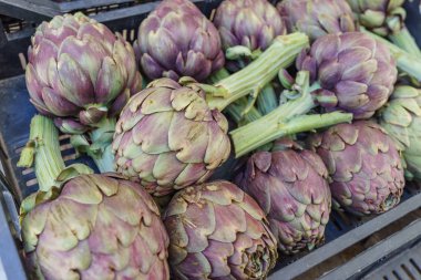 Taze sebze enginar içinde belgili tanımlık çarşı, kapalı