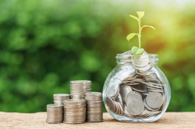 Sikke ve kavanoz yığını paralar büyüme Filiz pla ile dolu