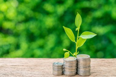 Büyüme ile sikke yığını Filiz tesisi işletme finansı veya g olarak