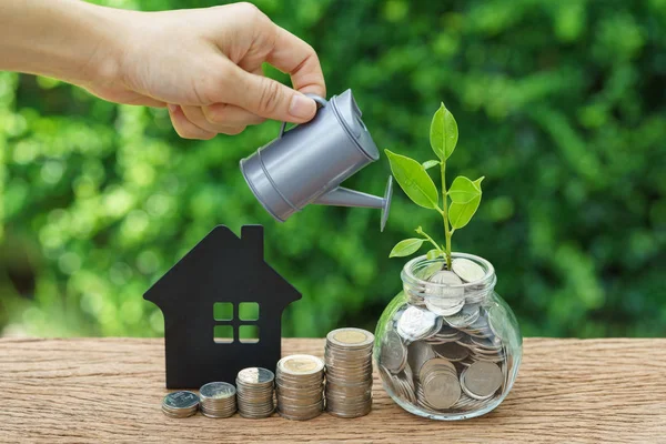 Paralar, kağıt ev ve büyüme yığını el ile bitki Filiz wa