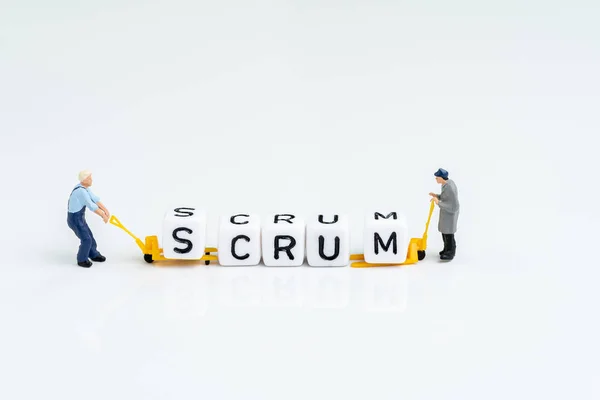 Scrum master in agile methodology for software development conce — Stockfoto