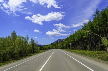 Yaz ormanlarında yol