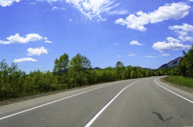 Yaz ormanlarında yol