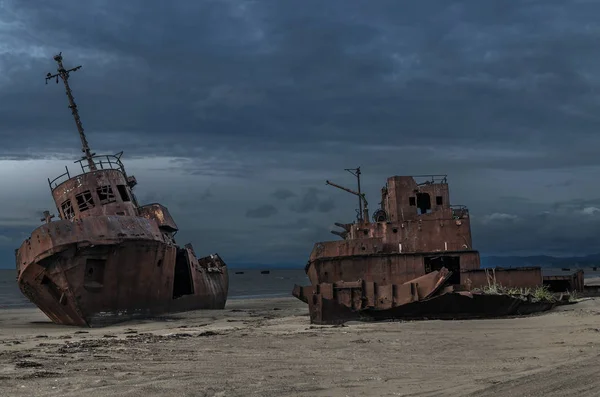 Wrack am Strand — Stockfoto