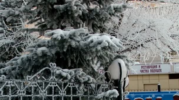 冬季城镇家园分行 免版税图库视频