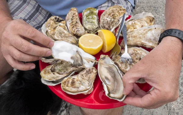 Schotel van verse oesters — Stockfoto