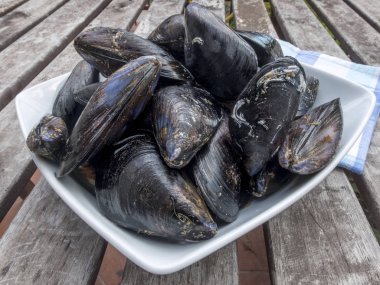 Cotto dinlenme beyaz seramik kase taze ve çiğ deniz midye